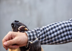 Why Choose Carrion Accident & Injury Attorneys, PLLC After a Dog Bite in Queens, NY?
